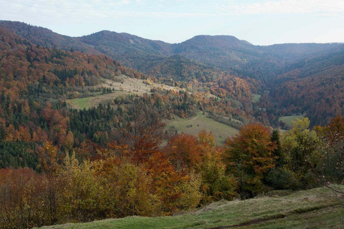 Herbst in den Karpaten