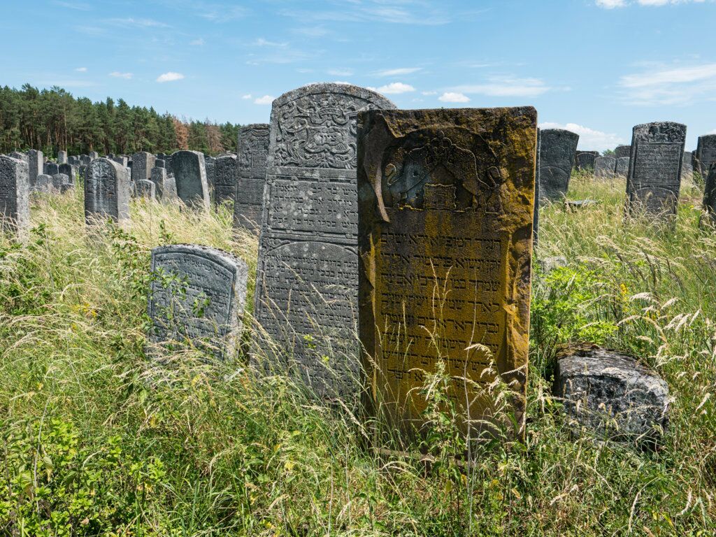Der jüdische Friedhof in Brody