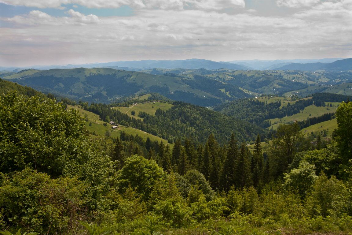 Blick ins Tal auf der Wanderung zur Polonina