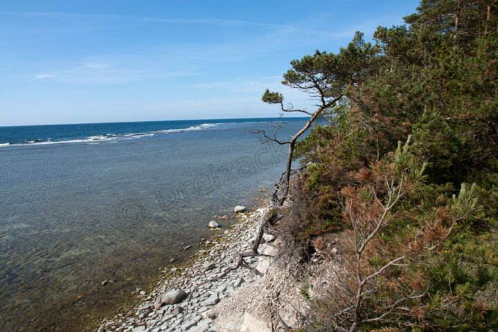 Steilküste bei Panga auf Saaremaa