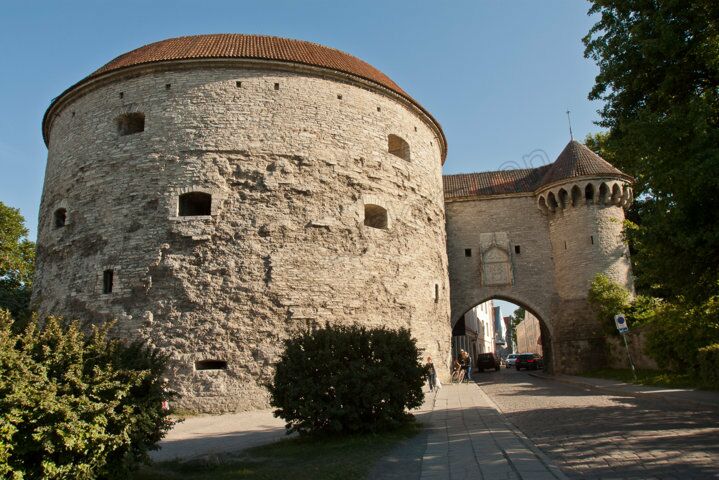 Die Dicke Margarete in der Stadtmauer Tallinns