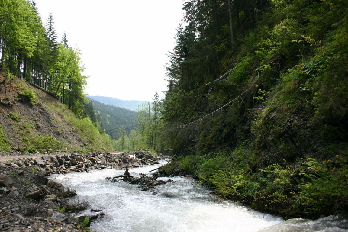 Typischer Fluss in den Karpaten